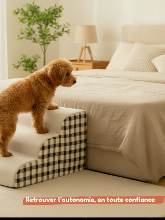 Rampe ergonomique pour chien et chat — Accès canapé et lit sans sauter