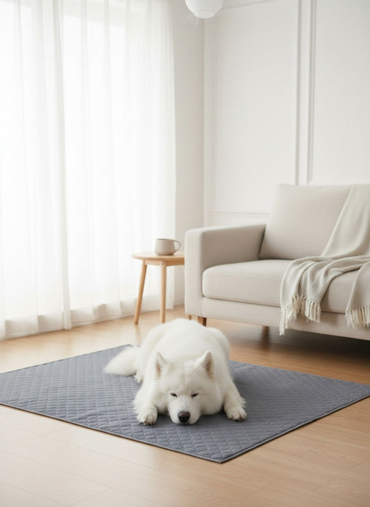 Tapis absorbant lavable pour chien et chat — Protection douce au quotidien